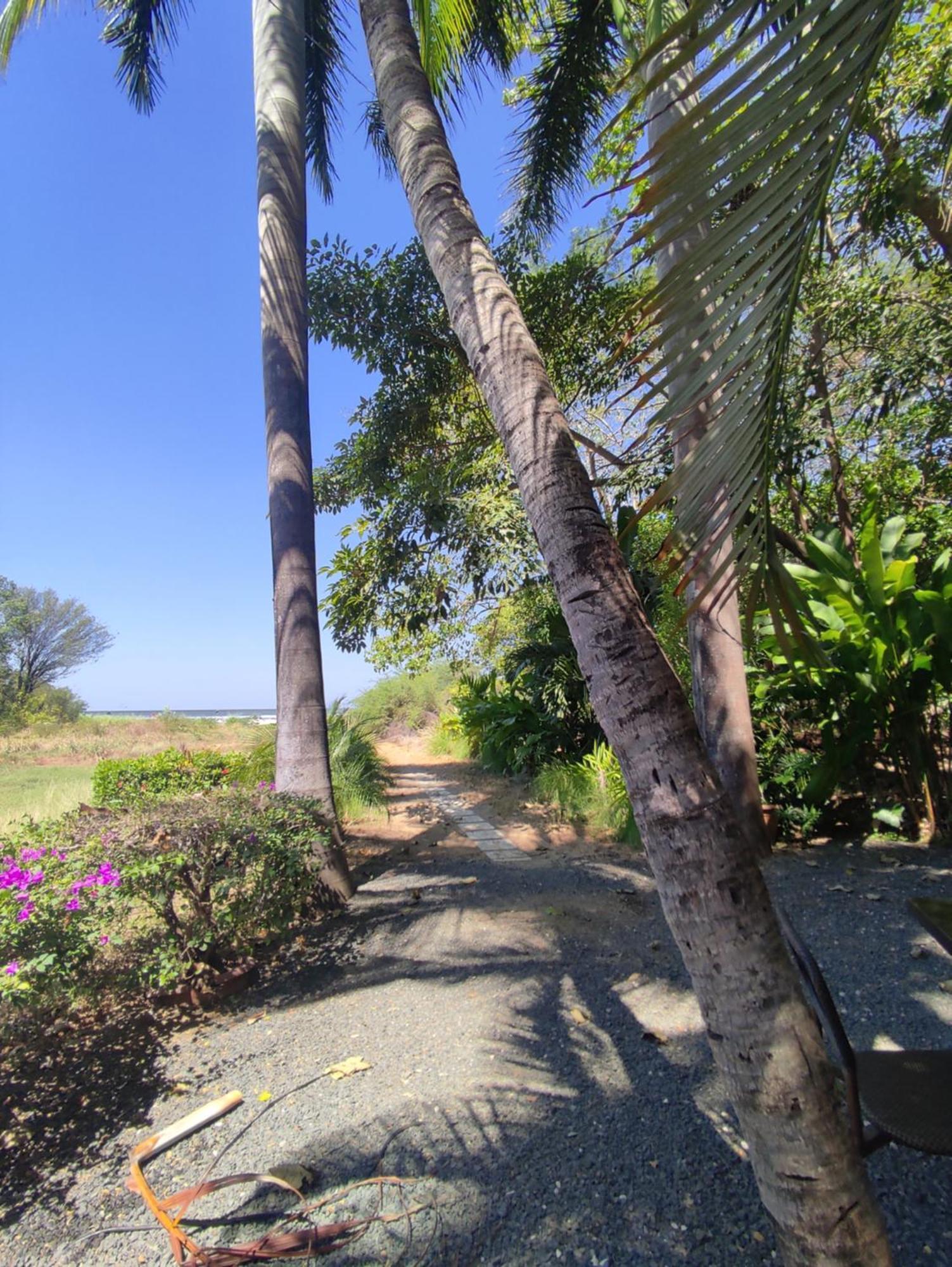 Hotel Laguna Del Cocodrilo Tamarindo Exteriör bild