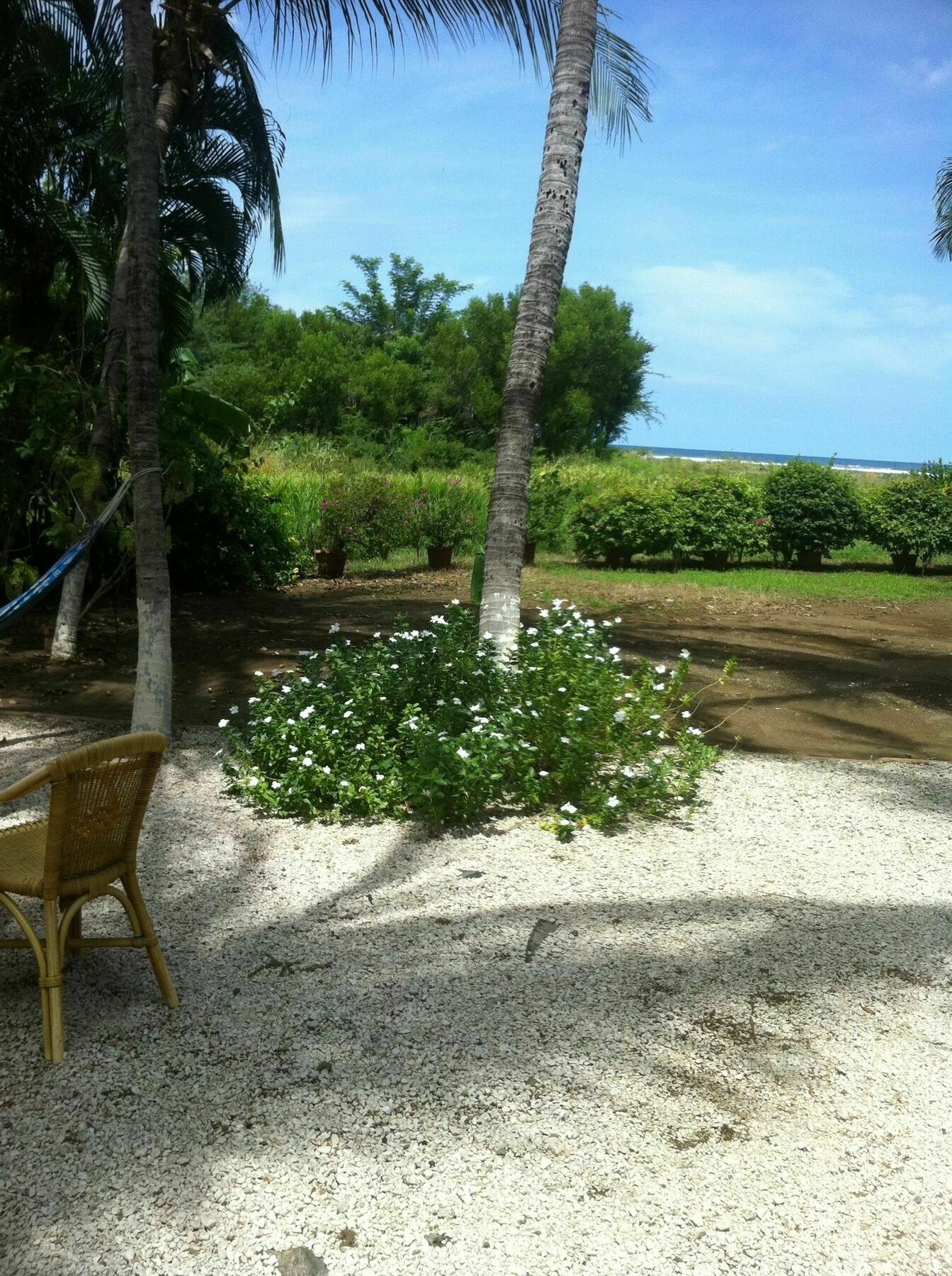 Hotel Laguna Del Cocodrilo Tamarindo Exteriör bild