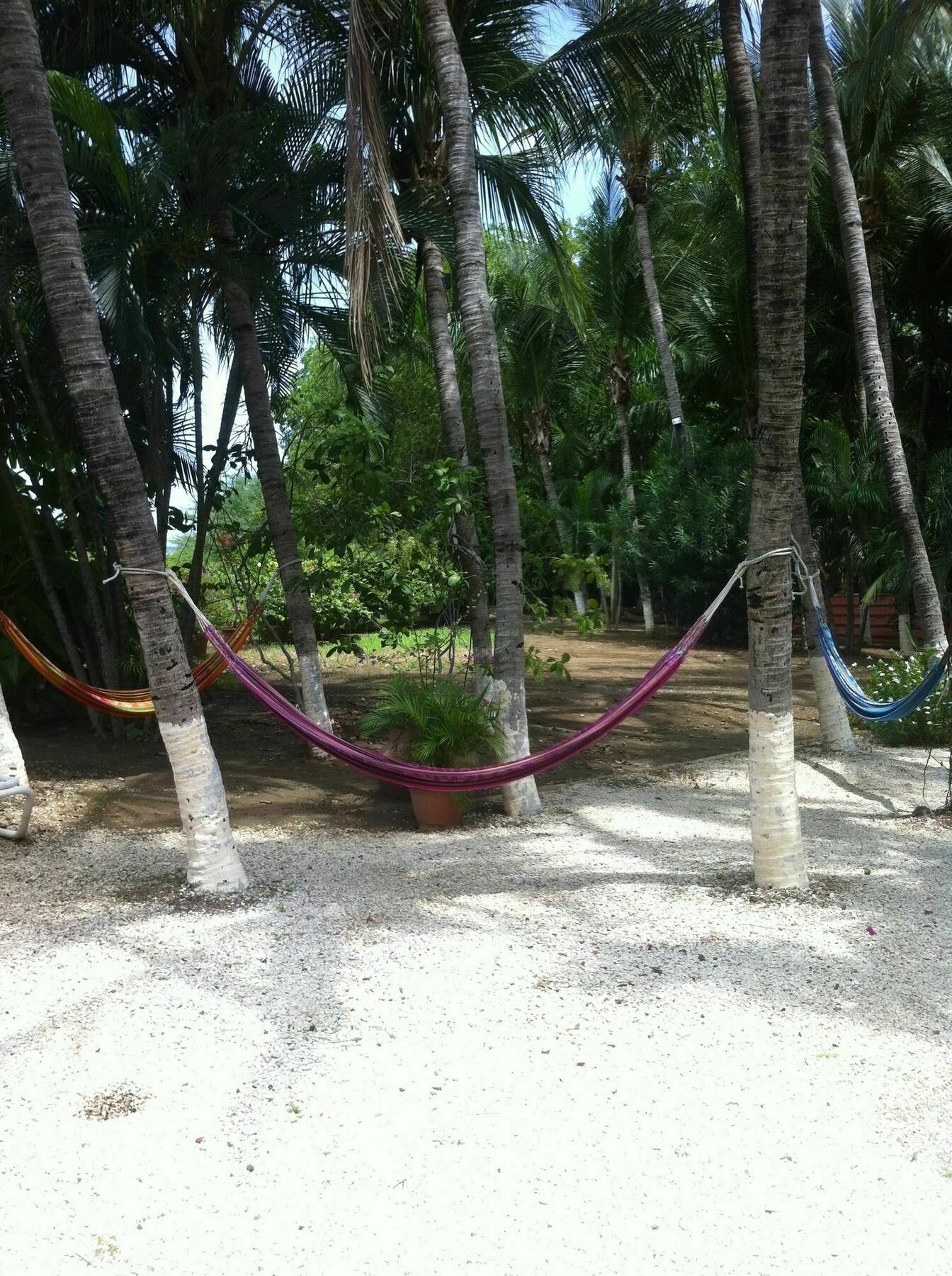Hotel Laguna Del Cocodrilo Tamarindo Exteriör bild